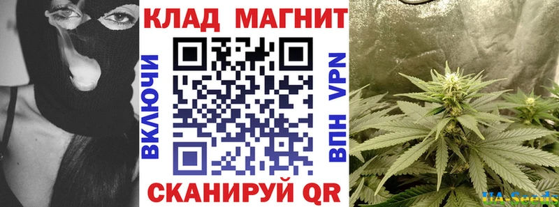 Что такое Шиханы Метадон  Псилоцибиновые грибы  APVP  ГАШ  МЕФ  МАРИХУАНА 