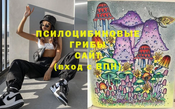 Альфа ПВП Алексин