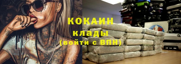 МДПВ Нефтегорск