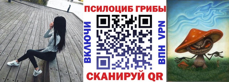 Галлюциногенные грибы Psilocybe цена наркотик Шиханы