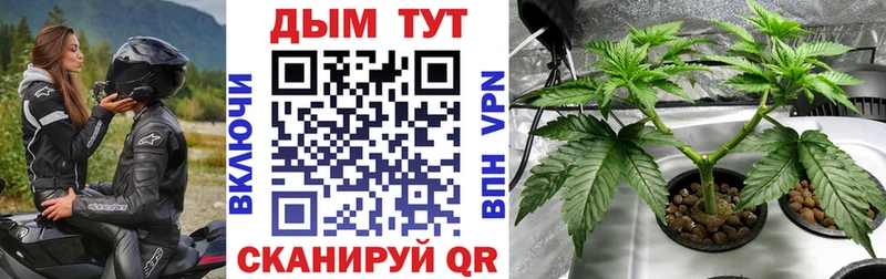 Марихуана конопля Шиханы